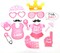 Baby Photo Booth Props – Gender Reveal & Baby Shower Party Decorations